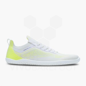Zapatillas Running Carretera Vivobarefoot Primus Lite Knit Hombre Amarillo | AR053LQ