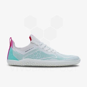 Zapatillas Running Carretera Vivobarefoot Primus Lite Knit Hombre Azules | AR054KW